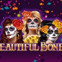 Beautiful Bones