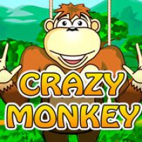 Crazy Monkey